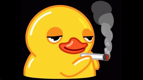 duck gif smoking